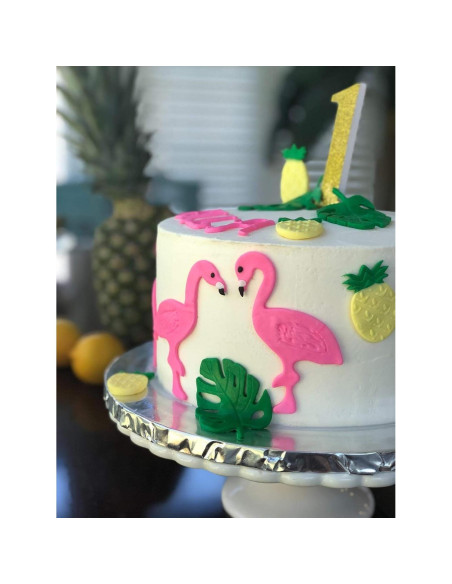 Conjunto de 5 cortadores de galletas Honbay tropicales