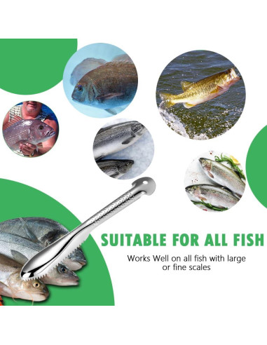 Removedor de Escamas de Pescado OneNine, Acero Inoxidable, 2 Piezas