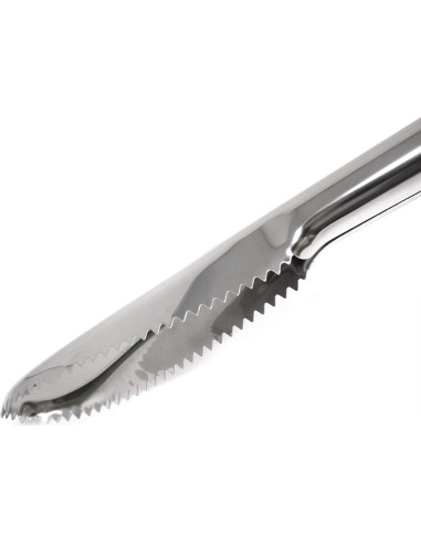 Escalador de Pescado Acero Inoxidable Honbay 24 cm