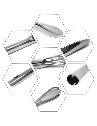 Escalador de Pescado Acero Inoxidable Honbay 24 cm