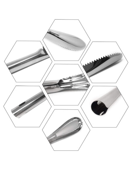 Escalador de Pescado Acero Inoxidable Honbay 24 cm