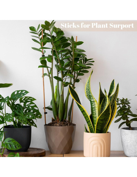 150 Palitos de Bambú para Asar Malvaviscos WSICSE 76 cm