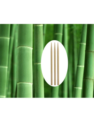 Palitos de Bambú Penta Angel 14 cm para Comida DIY - 50 Pcs