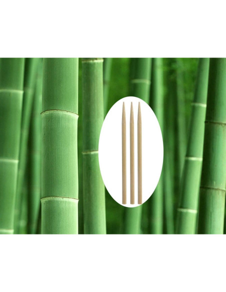 Palitos de Bambú Penta Angel 14 cm para Comida DIY - 50 Pcs