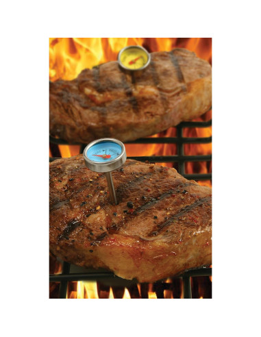 Set de 4 Termómetros de Carne Mini Norpro - Acero Inoxidable