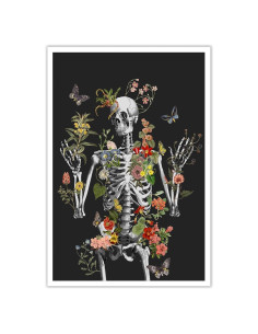 Póster Esquelético Anatomía Humana 30x40cm Dcvjiy Sin Marco