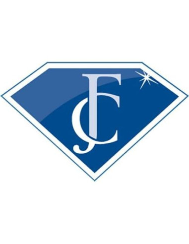 Colgante de Moneda de Plata Esterlina FJC Finejewelers 39mm