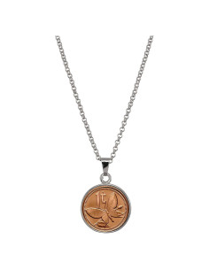 Collar con colgante de moneda mariposa American Coin Treasures