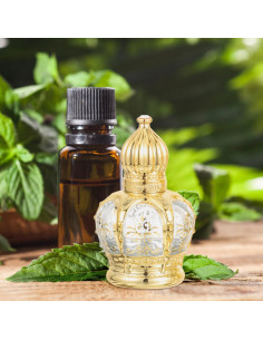 Botellas de Perfume Vintage Housoutil 10ml Vidrio Dorado 2