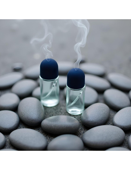 2 Botellas de Vidrio 50ml con Rodillo Galepromot Recargables