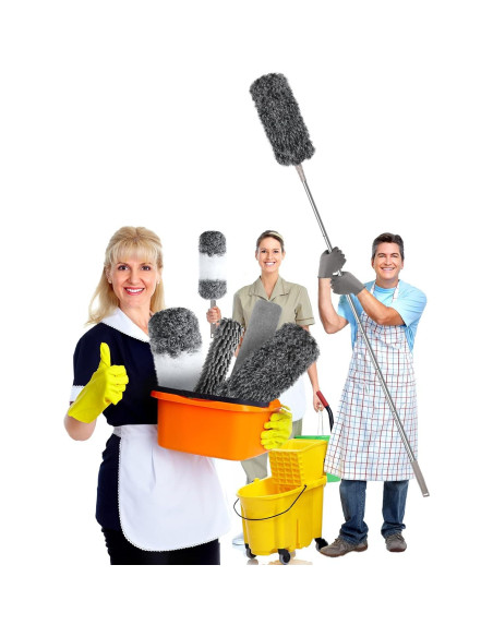 Plumero de Microfibra AULTONG Extensible 254 cm 12 Piezas