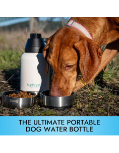 Botella de Agua Portátil para Perros HydroPet 950 ml - Acero Inoxidable Aislada 2