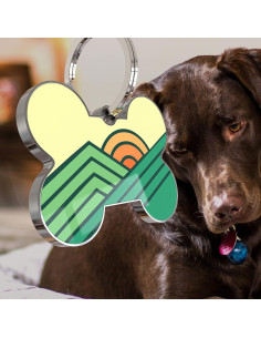 Etiqueta de identificación para mascotas KEKID con código QR 2