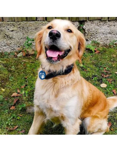 Etiqueta Identificación Personalizada Perro MYLUCKYTAG Acero Inoxidable QR