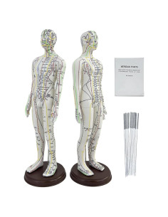 Muñeco de Acupuntura 1/3 XDKHAEA con Puntos Educativos