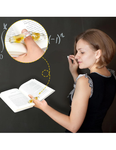 4 Soportes de Página de Libro de Resina Pajean con Flores Secas