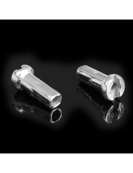 Tapas de Radio de Bicicleta TAODAN 100PCS 12mm Plateadas