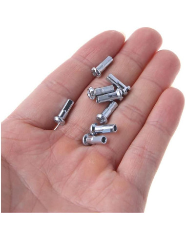 Tapas de Radio de Bicicleta TAODAN 100PCS 12mm Plateadas