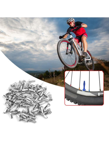 Tapas de Radio de Bicicleta TAODAN 100PCS 12mm Plateadas