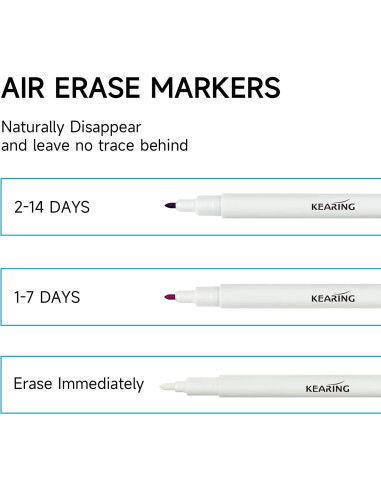 Bolígrafo Borrable por Aire Kearing - 5 Unidades (2 Rosa, 2 Violeta, 1 Borrador)