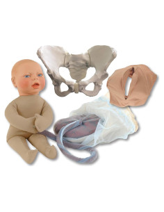 Conjunto de Modelos de Parto HEALTH EDCO Beige