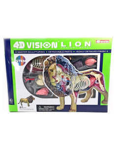 Modelo de Anatomía de León 4DMaster 29 Piezas 30 cm
