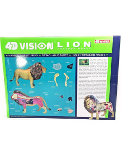 Modelo de Anatomía de León 4DMaster 29 Piezas 30 cm 2