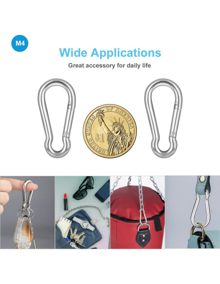 10 Clips de Carabiner de Acero Inoxidable LOTSUN M4 3.98 cm