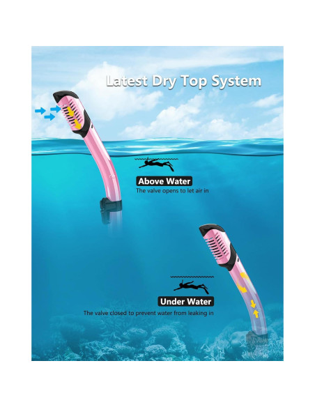 Máscara de Snorkel Bairuifu M8 Adultos 2 Paquetes Anti-vaho