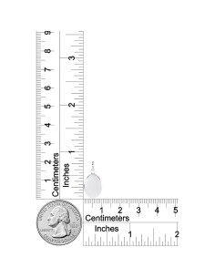 Collar medallón ovalado plata esterlina Amazon Essentials 15" 2