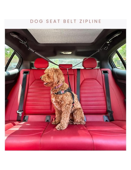 Arnés de Perro para Coche Ellevaevie - Cinturón Ajustable Grande