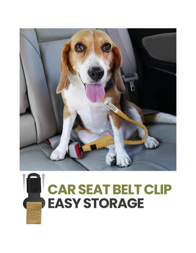 Correa Bungee para Perros OutdoorMaster 1.14-2.01m Marrón