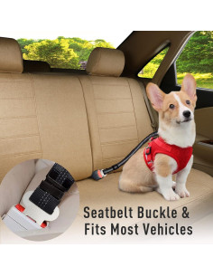 Cinturón de Seguridad para Perros StreetWind 2-en-1 Ajustable 2
