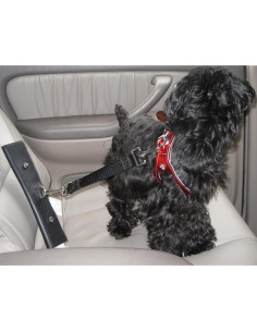 Correa de Seguridad para Mascotas PawRider Negra - Arnés Choke Free 2