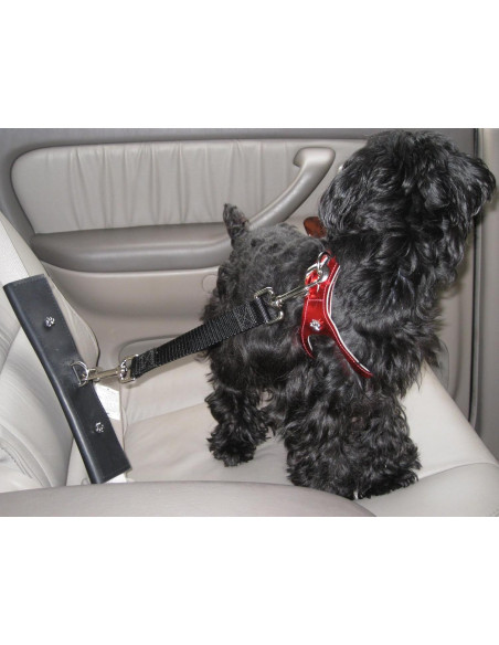 Correa de Seguridad para Mascotas PawRider Negra - Arnés Choke Free