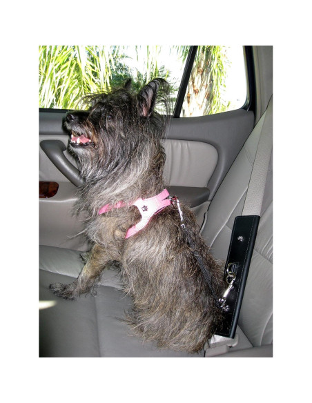 Correa de Seguridad para Mascotas PawRider Negra - Arnés Choke Free