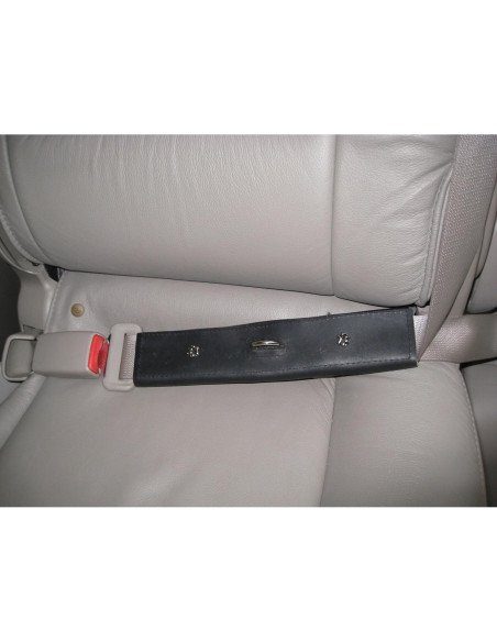 Correa de Seguridad para Mascotas PawRider Negra - Arnés Choke Free