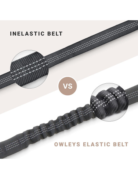 Cinturón de Seguridad para Perros Owleys - Arnés Ajustable Negro