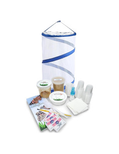 Kit de Mariposas Vivas Nature Gifts - 32 Orugas Painted Lady