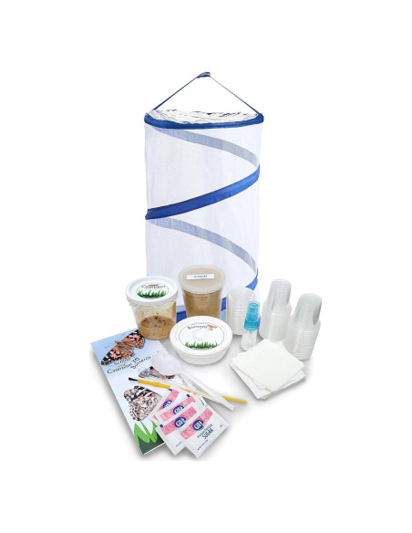 Kit de Mariposas Vivas Nature Gifts - 32 Orugas Painted Lady