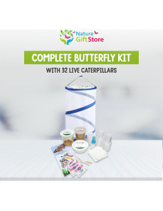 Kit de Mariposas Vivas Nature Gifts - 32 Orugas Painted Lady 2