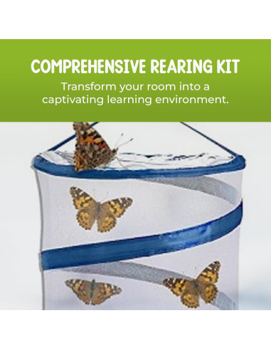 Kit de Mariposas Vivas Nature Gifts - 32 Orugas Painted Lady