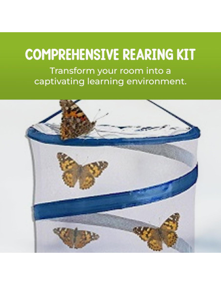 Kit de Mariposas Vivas Nature Gifts - 32 Orugas Painted Lady