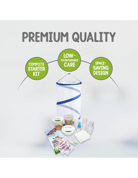 Kit de Mariposas Vivas Nature Gifts - 32 Orugas Painted Lady