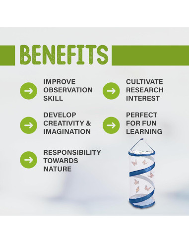 Kit de Mariposas Vivas Nature Gifts - 32 Orugas Painted Lady