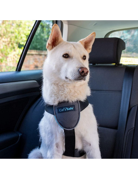 Arnés de Viaje para Perros CarSafe - Tamaño Mediano
