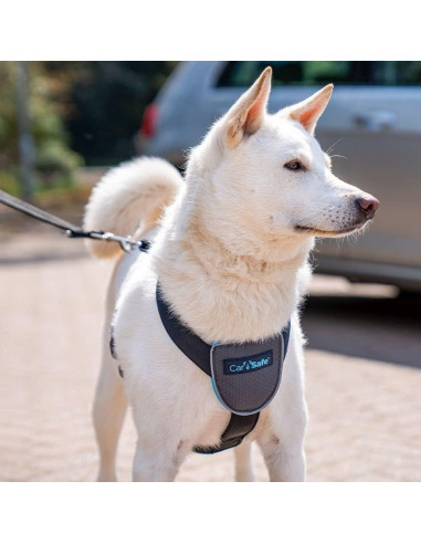 Arnés de Viaje para Perros CarSafe - Tamaño Mediano