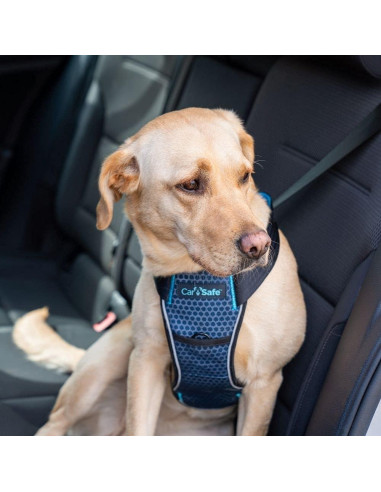Arnés de Seguridad para Perros CarSafe Grande - Hasta 32Kg