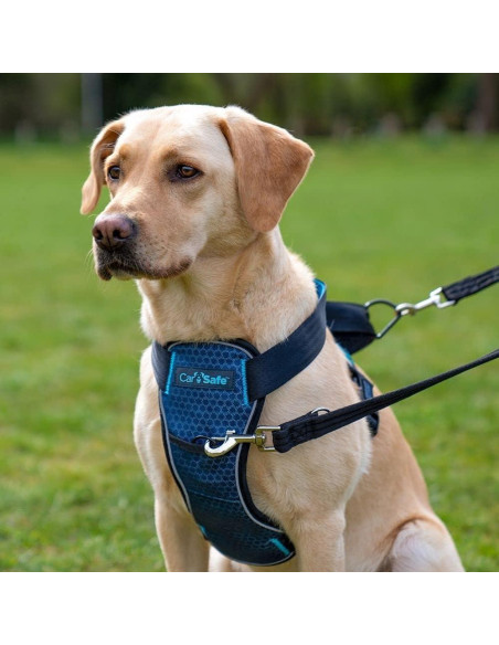 Arnés de Seguridad para Perros CarSafe Grande - Hasta 32Kg