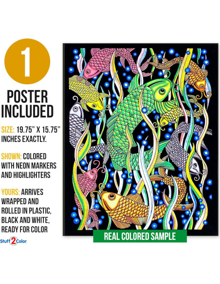 Póster de Colorear Pez Koi Stuff2Color 40.6x50.8 cm Póster de Colorear Pez Koi Stuff2Color 40.6x50.8 cm